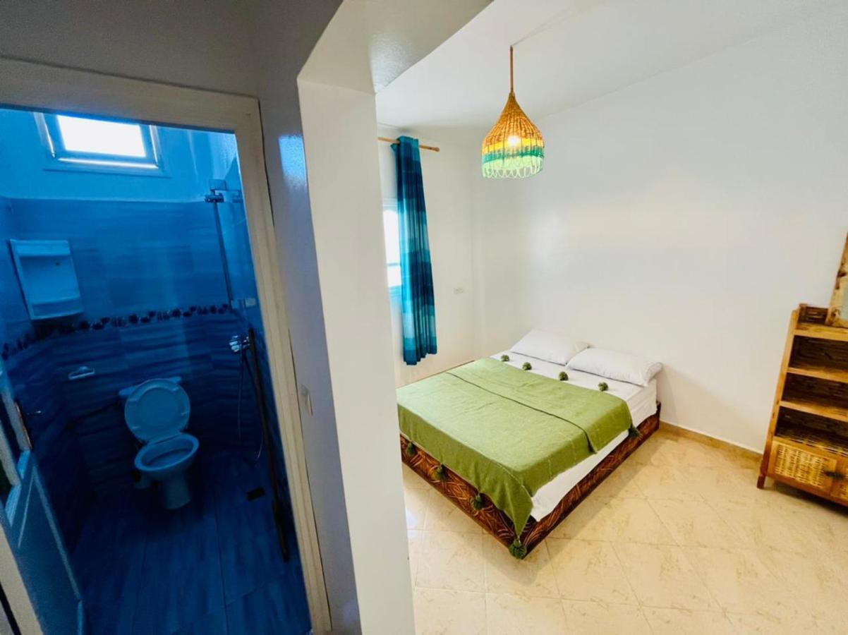 Cozy Surf House Hostel